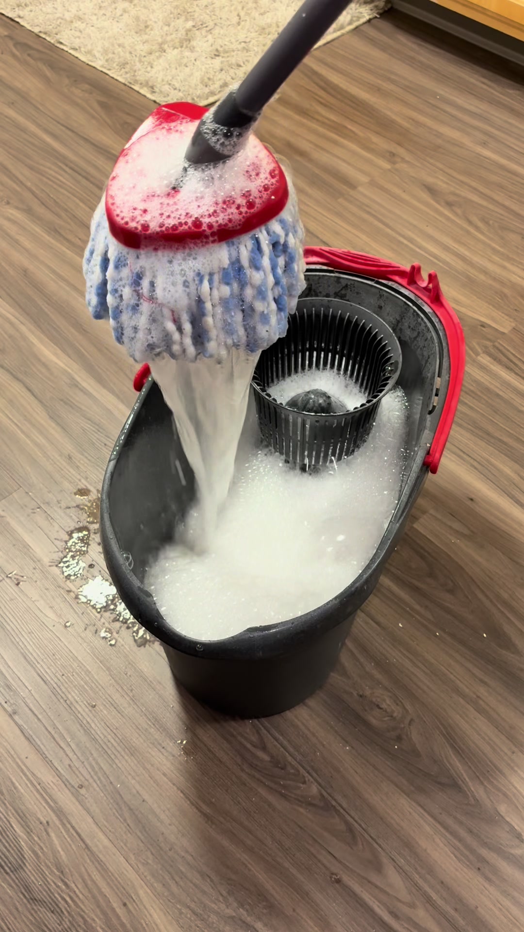 @Squeaky Clean