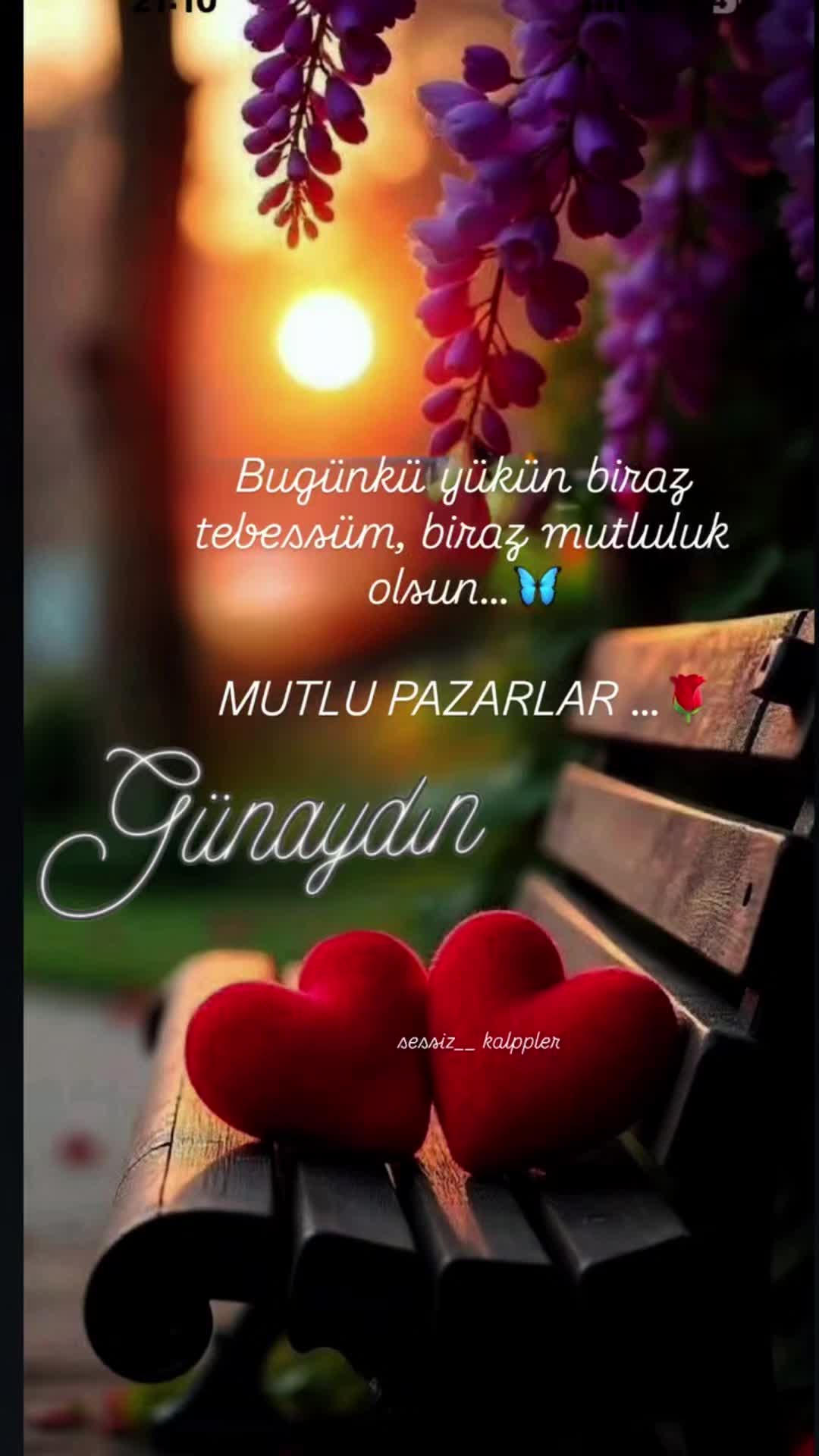 @ayse48