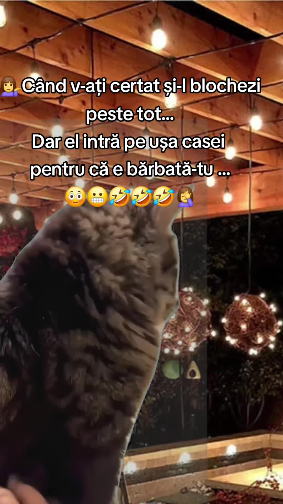 @RalukDinu♈️♡84♡✌️☯️💚❤️🔥