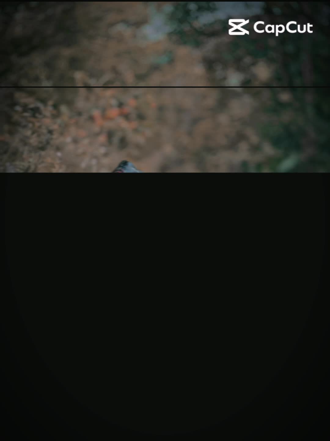 @๐๐ฌ๐๐ฎ ๐๐จ๐๐๐ ๐๐ฅ