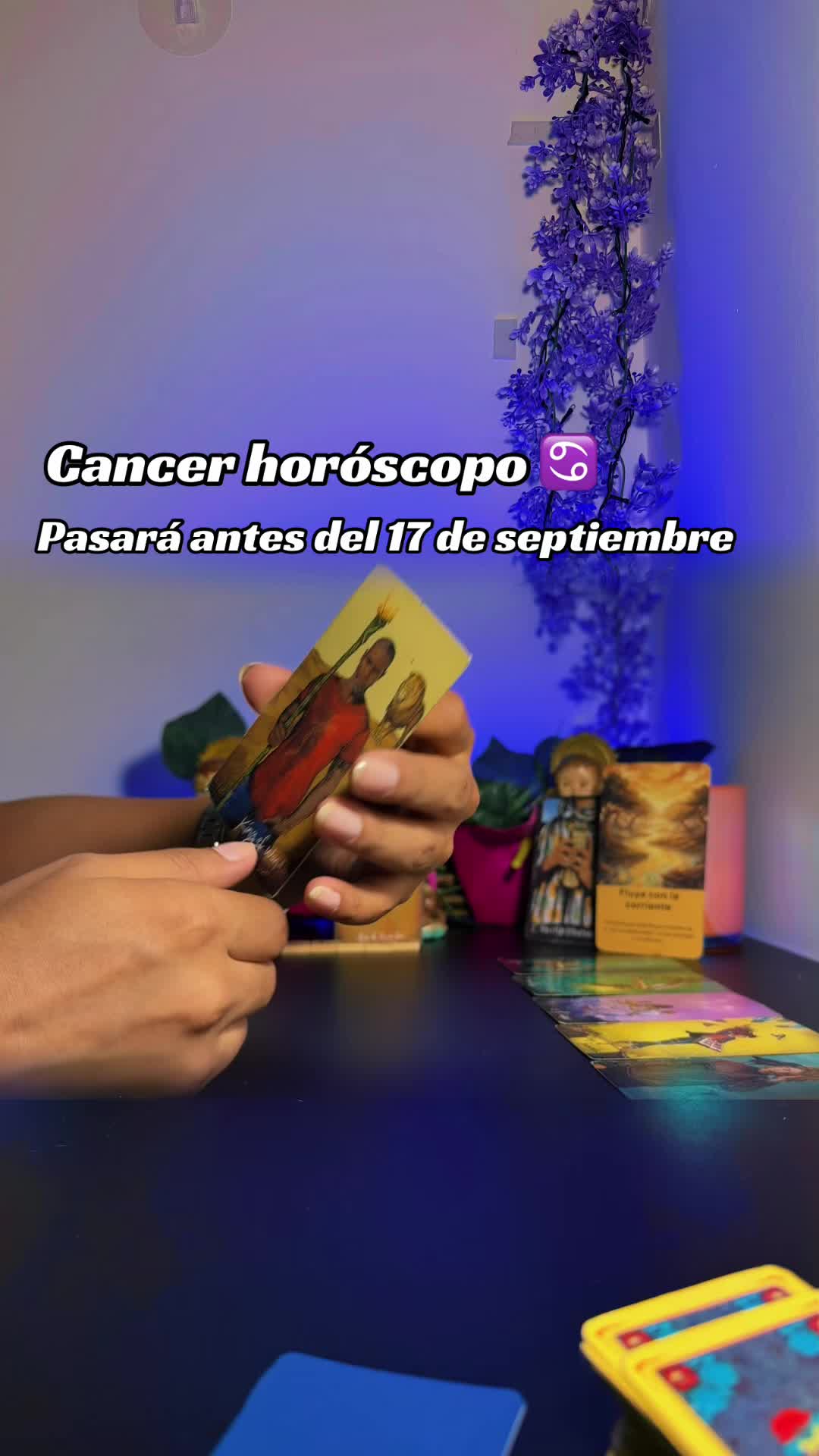 @camitarot77