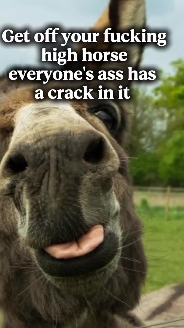 @JennJustCluckinAround