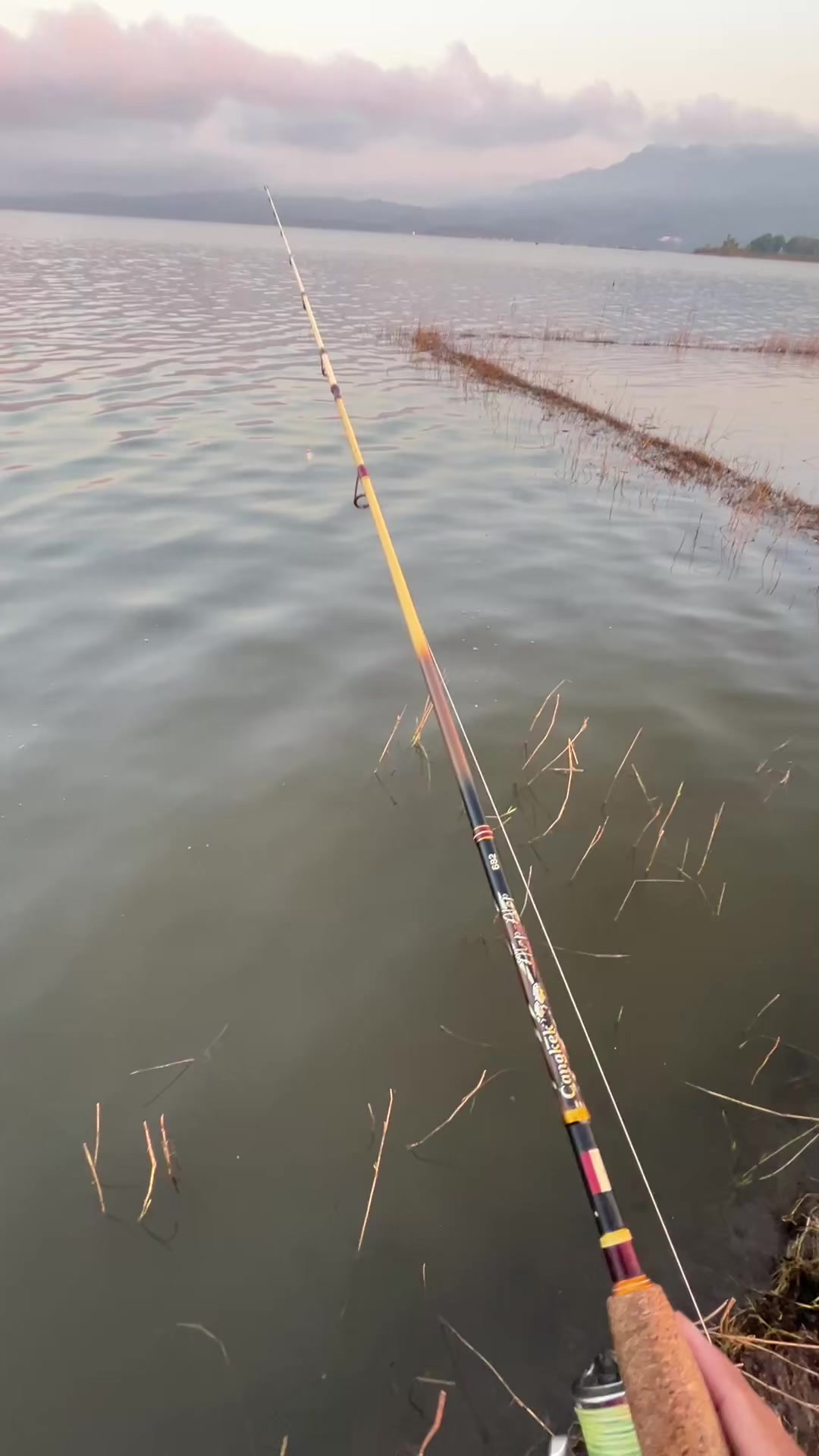 @Mancing mania🐋