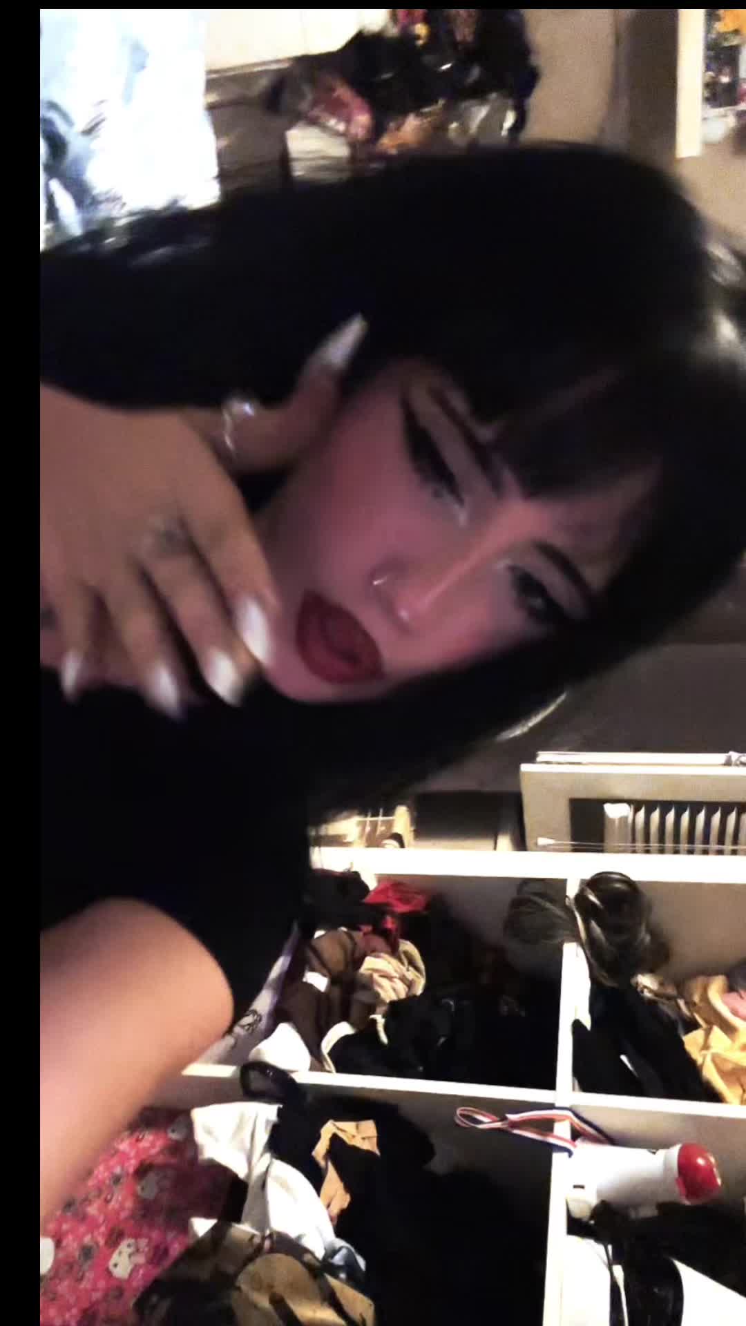 @chatdinosaure