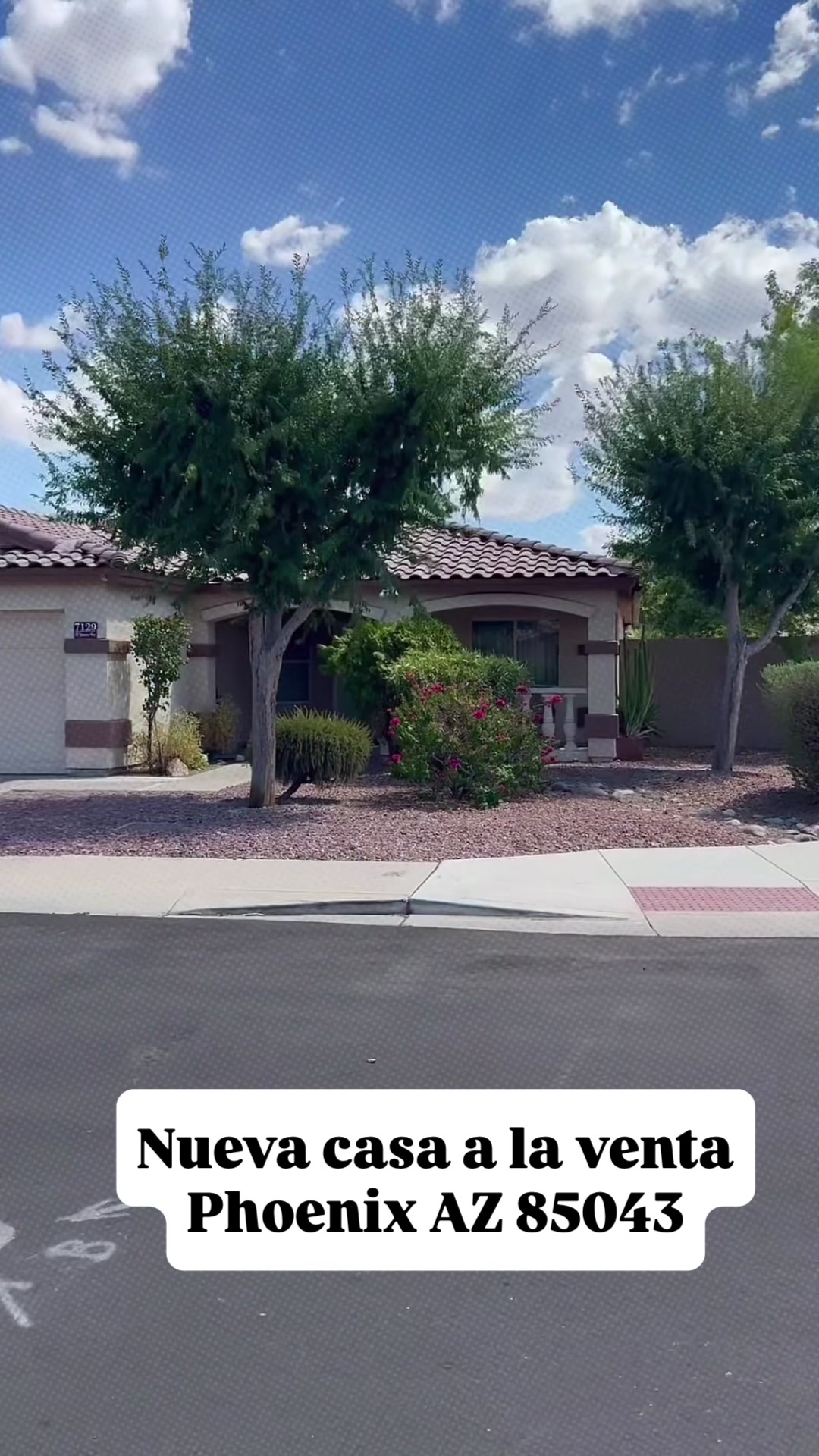 @Adriana Wendler AZ Realtor