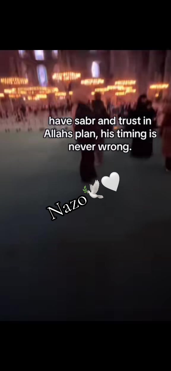 @sahar nazo 🕊️🤍