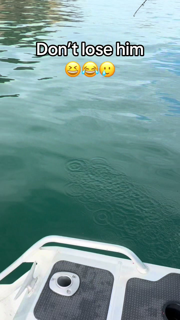 @Pacific Pirate