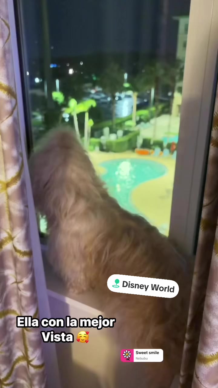 @Krazypaws🐾
