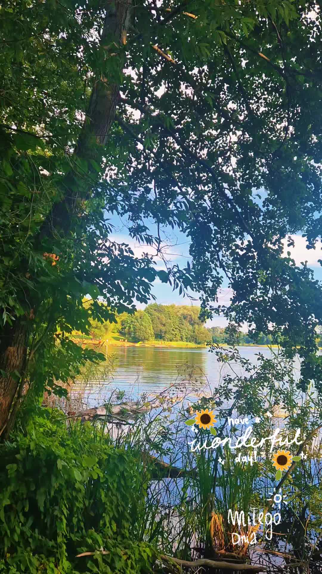 @Mariola Paradowska✨️👑✨