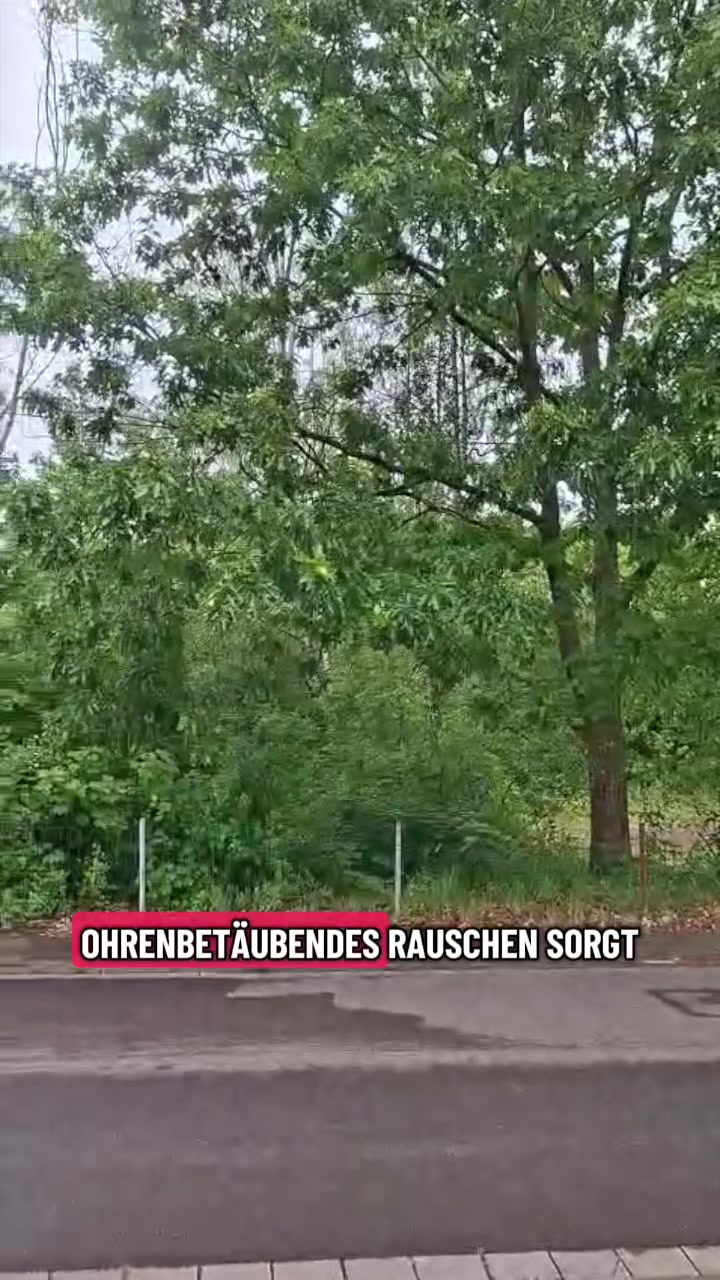 @Blaulichtreport Saarland