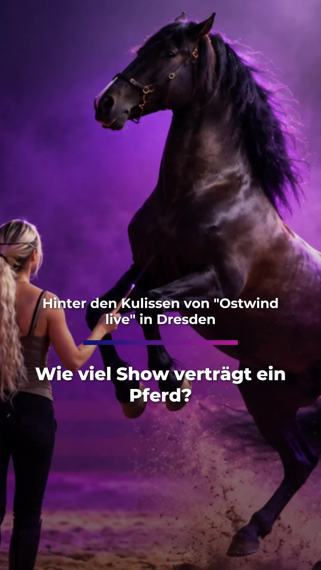 @Sachsen Fernsehen