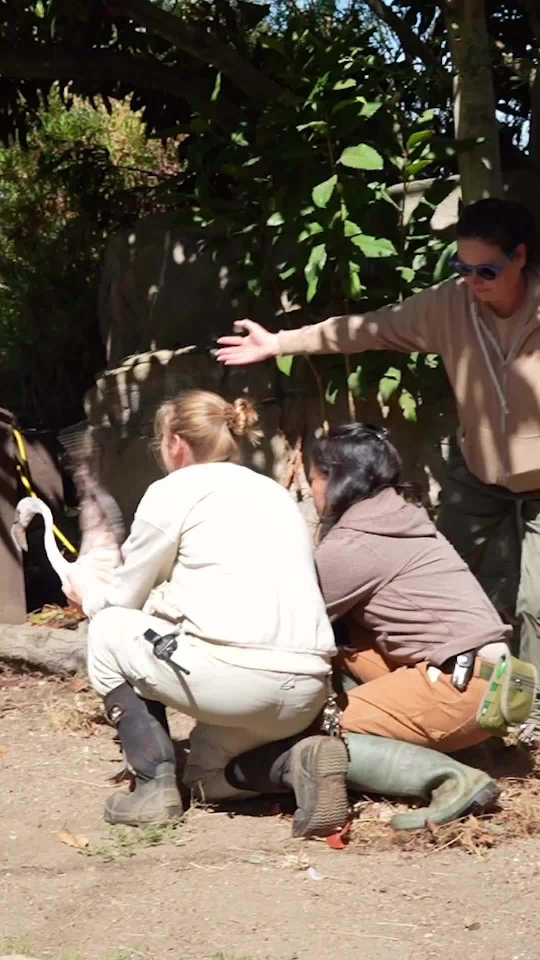 @Oakland Zoo