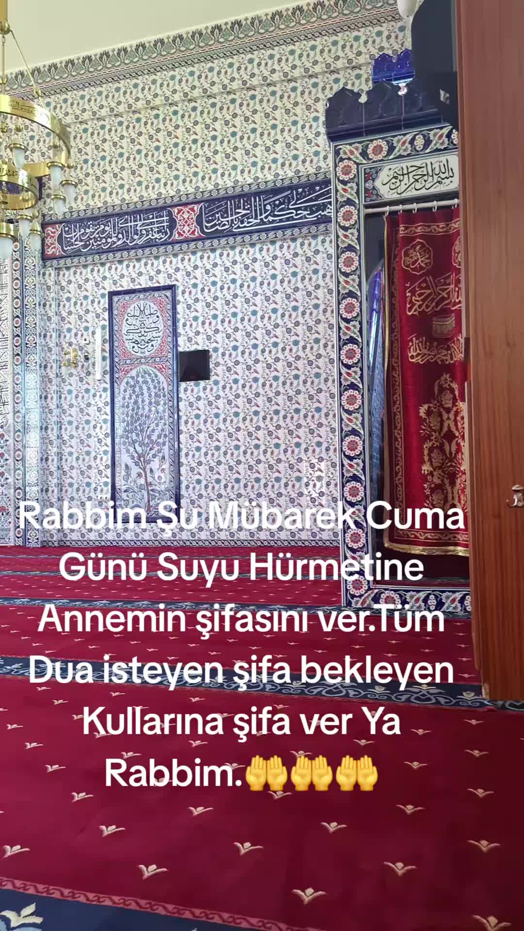 @03 Yanlız 🐺KURT 🤘🤘 🇹🇷🇹?
