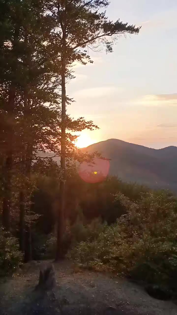 @Vanya_MK.🐊