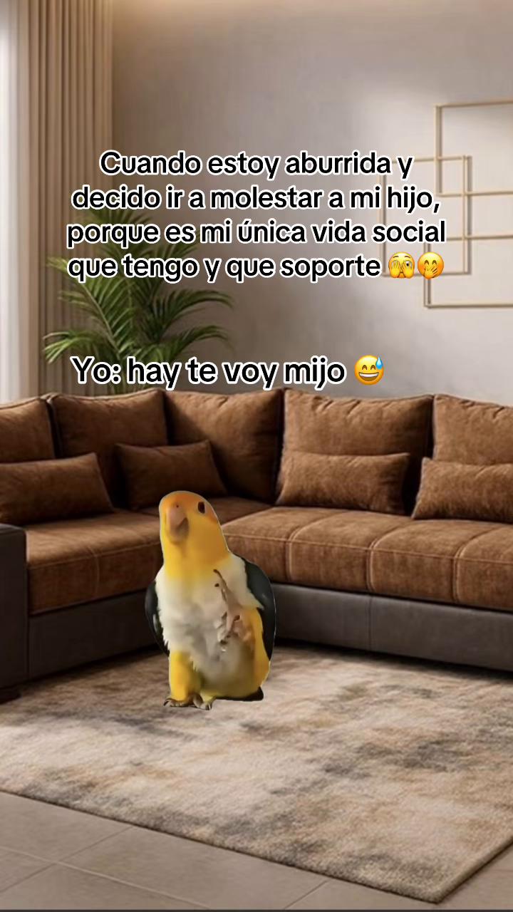@Lizz Castro