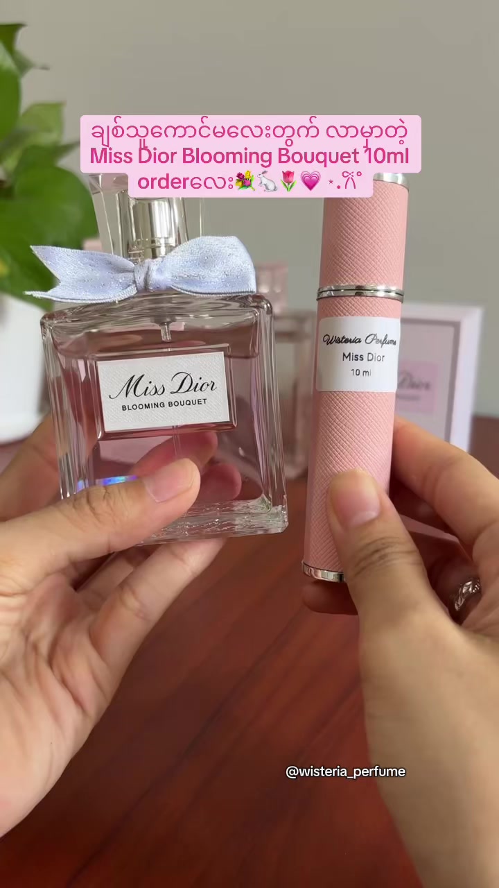 @Wisteria Perfume (Mdy)