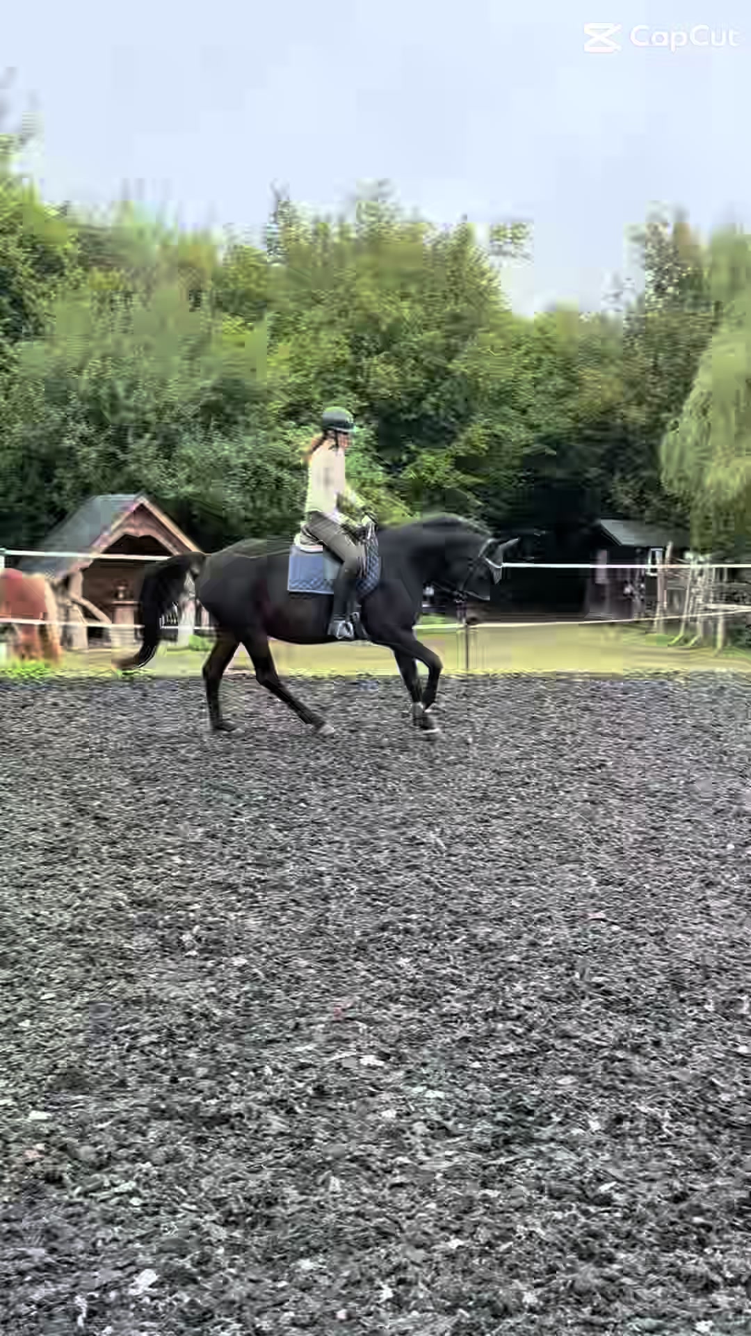 @herzenspferd_lucie❤️🥹