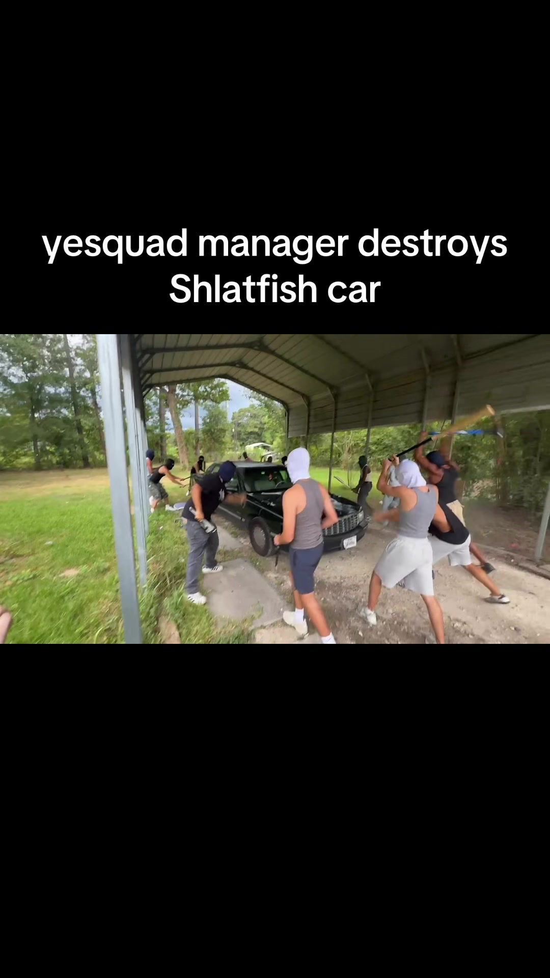 @shlatfishfanpage