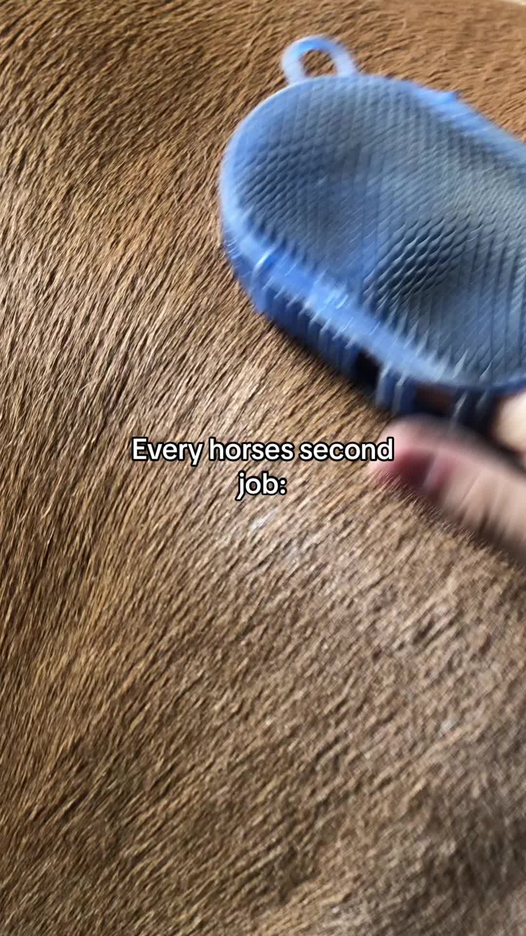 @K