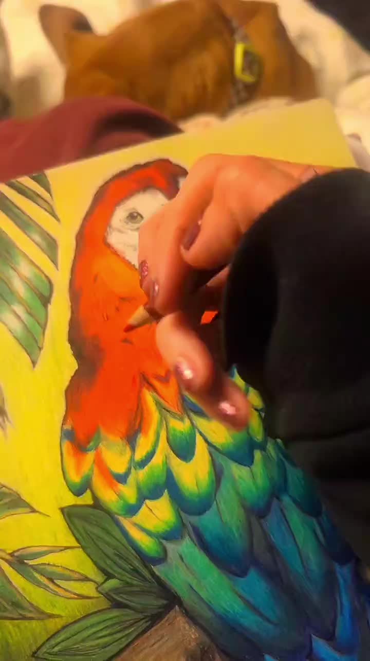@LauraArtfulNature✌️💜🖌️🎨🌎🦋