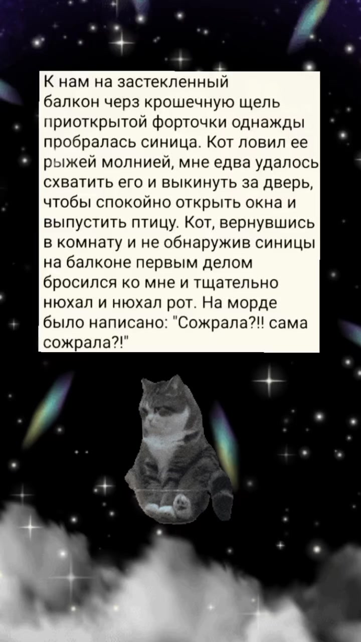 @💎𝓝𝓪𝓽𝓽𝓽𝓲 💎