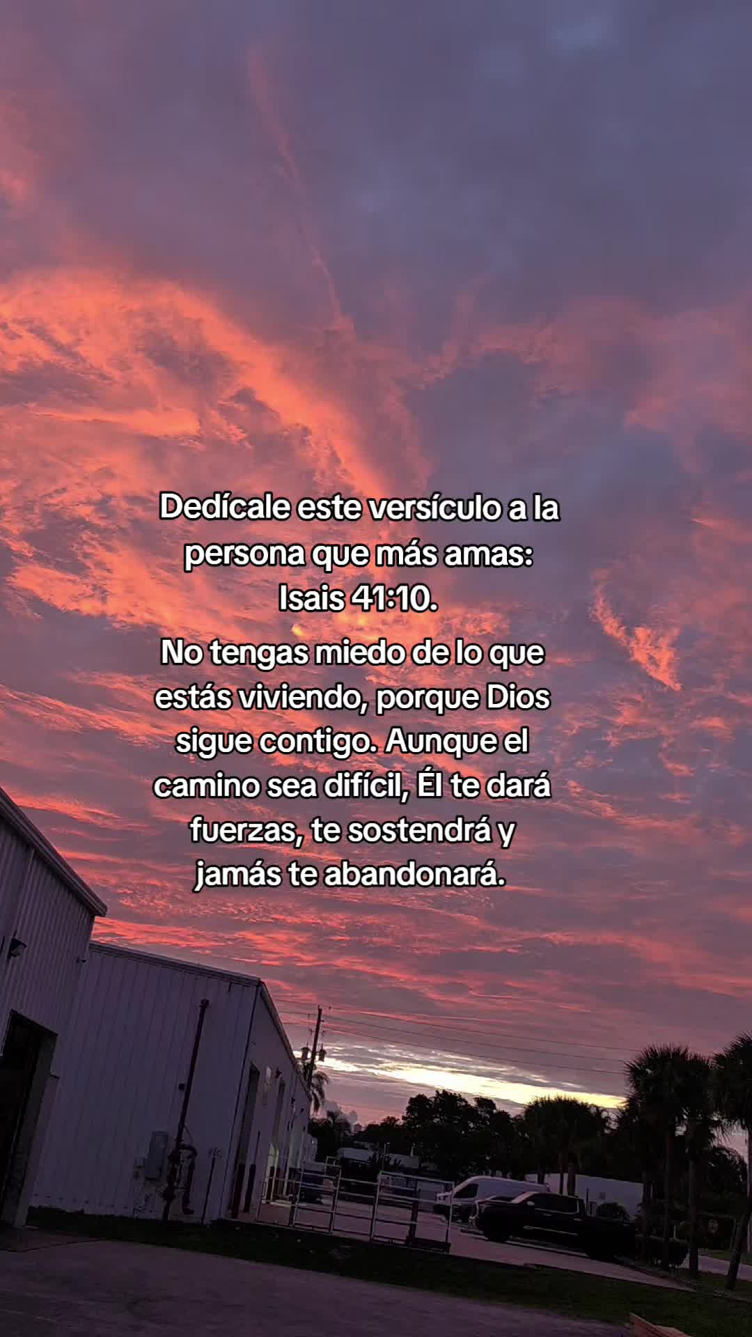 @🦁“INFINITO”✨️🕊