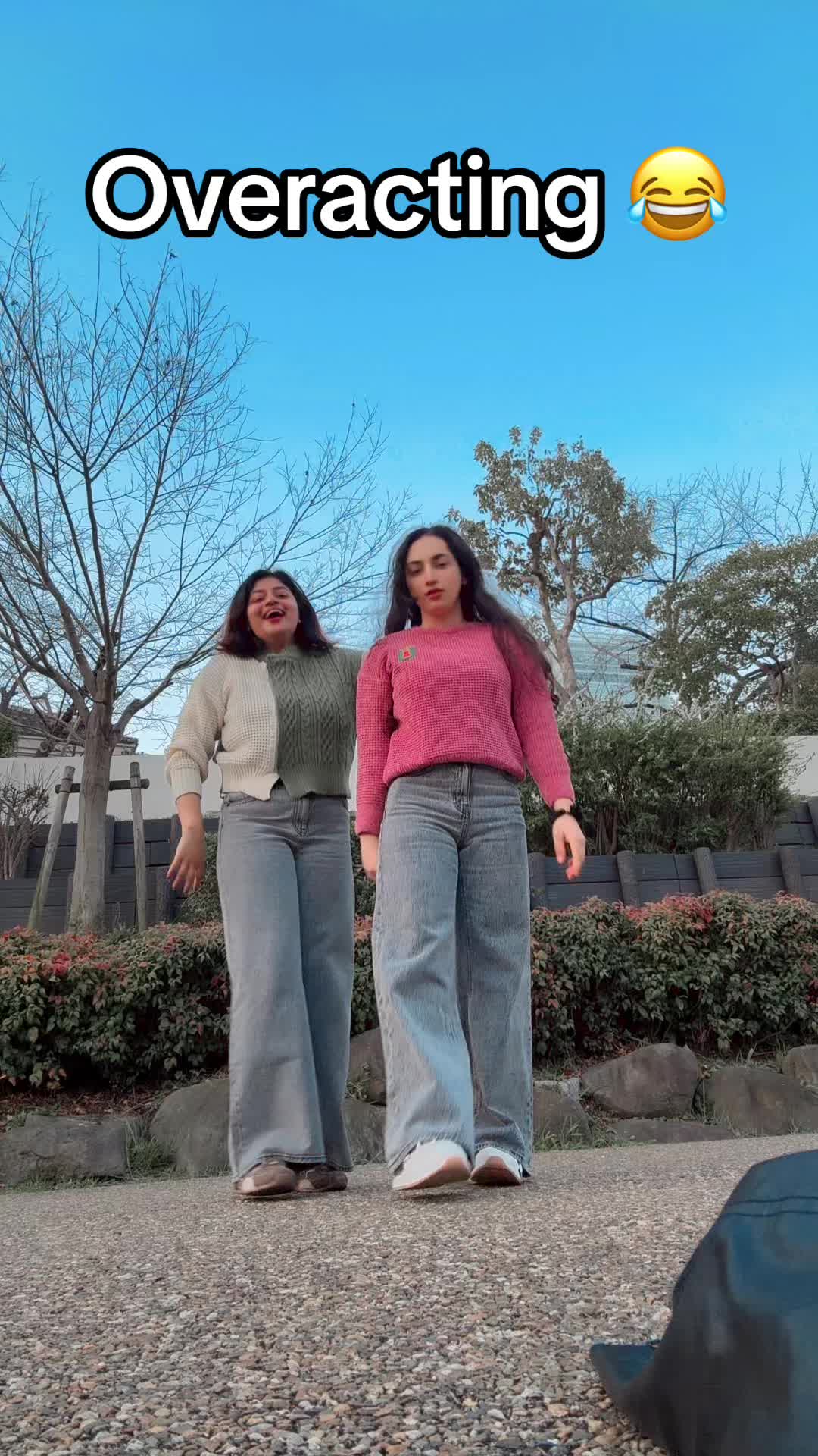 @Anisha Gautam