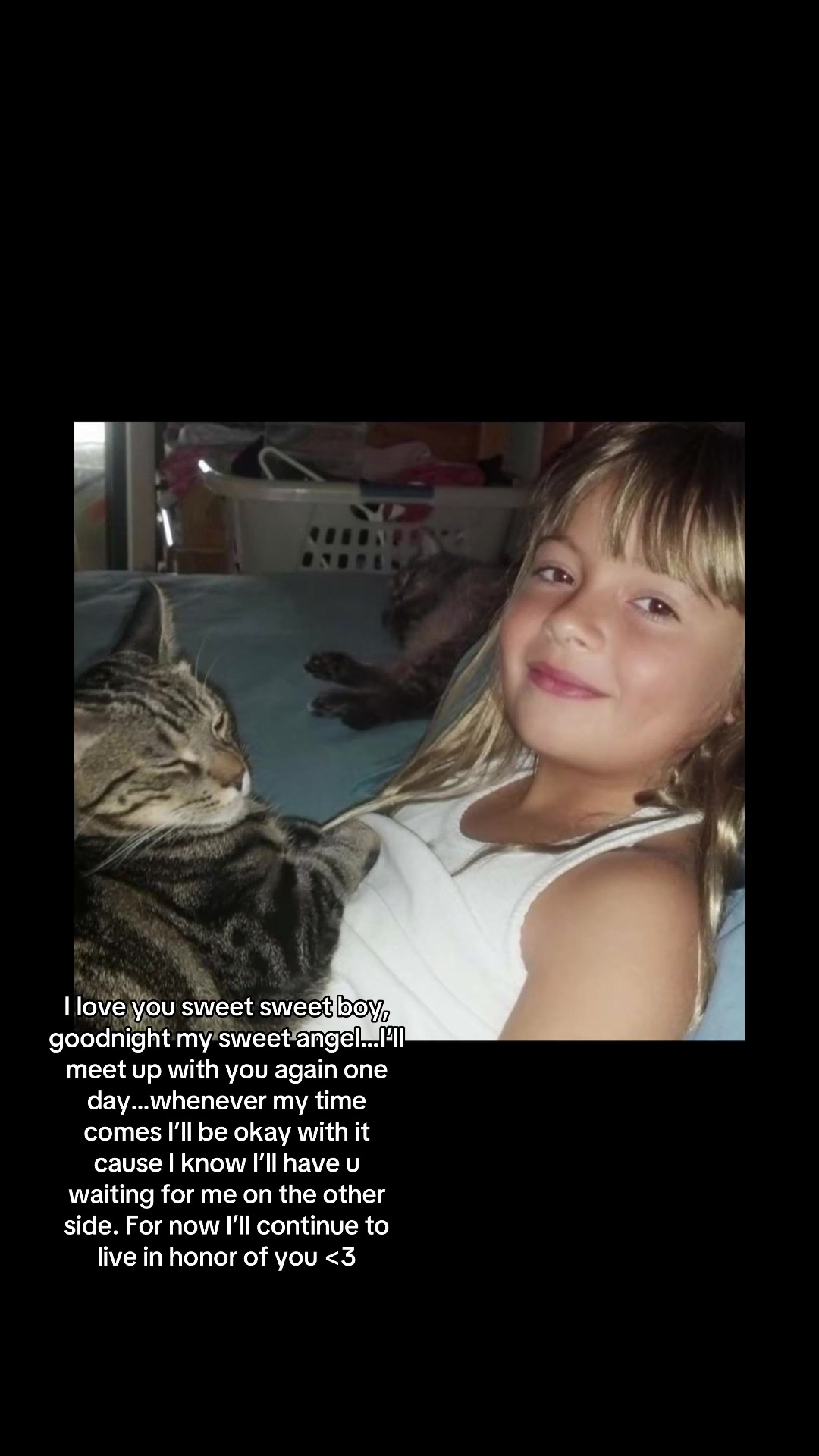 @Skitty Kitty 🐱