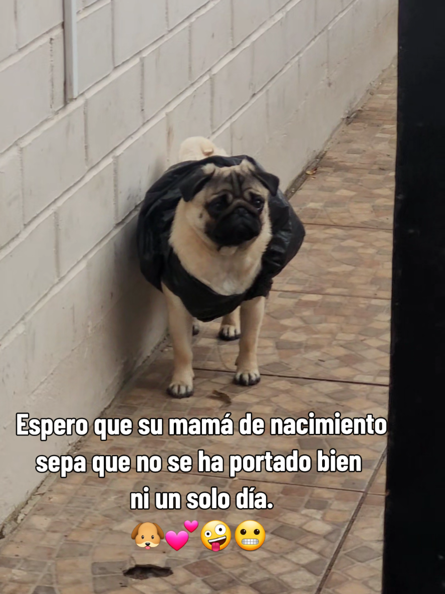 @melizabeth Verdugo