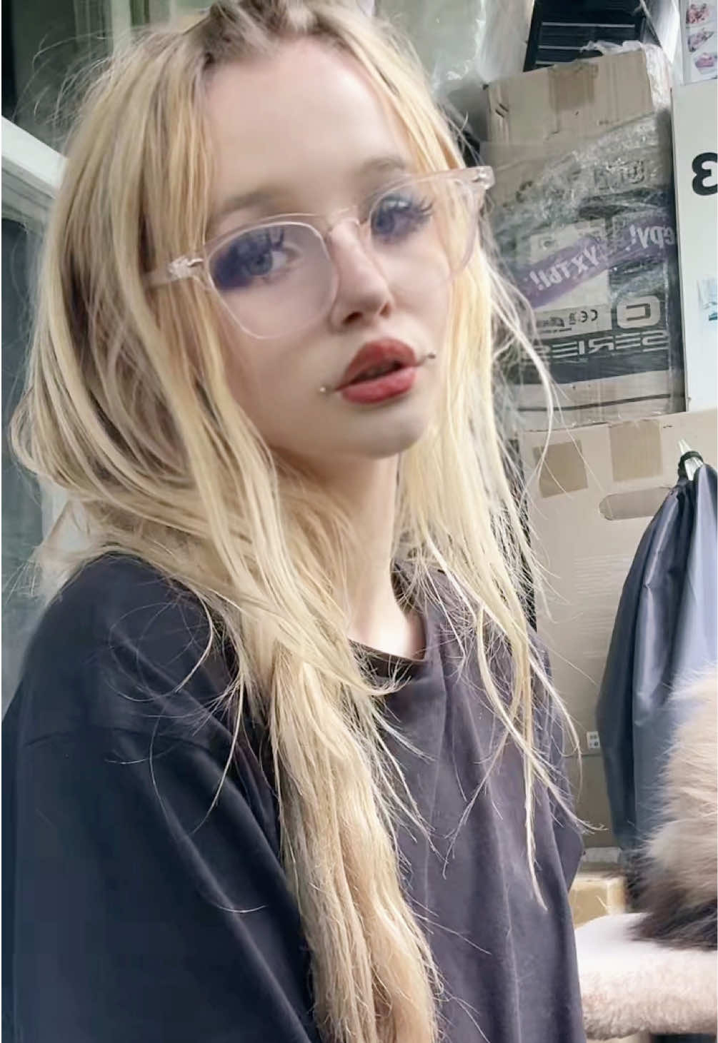 @alisa akiko