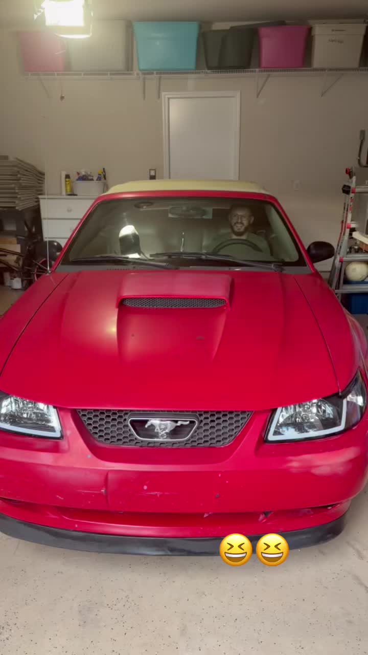 @that.new.edgemustang
