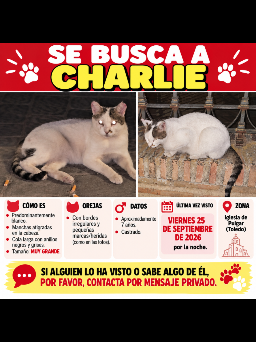 @garritasespaciales