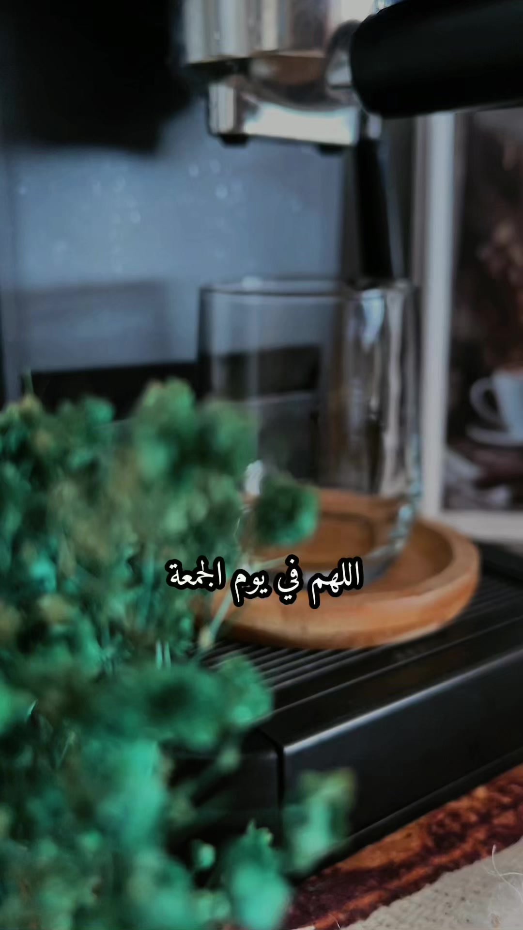 @✨𝒜𝒾𝓈𝒽𝒶🕊️
