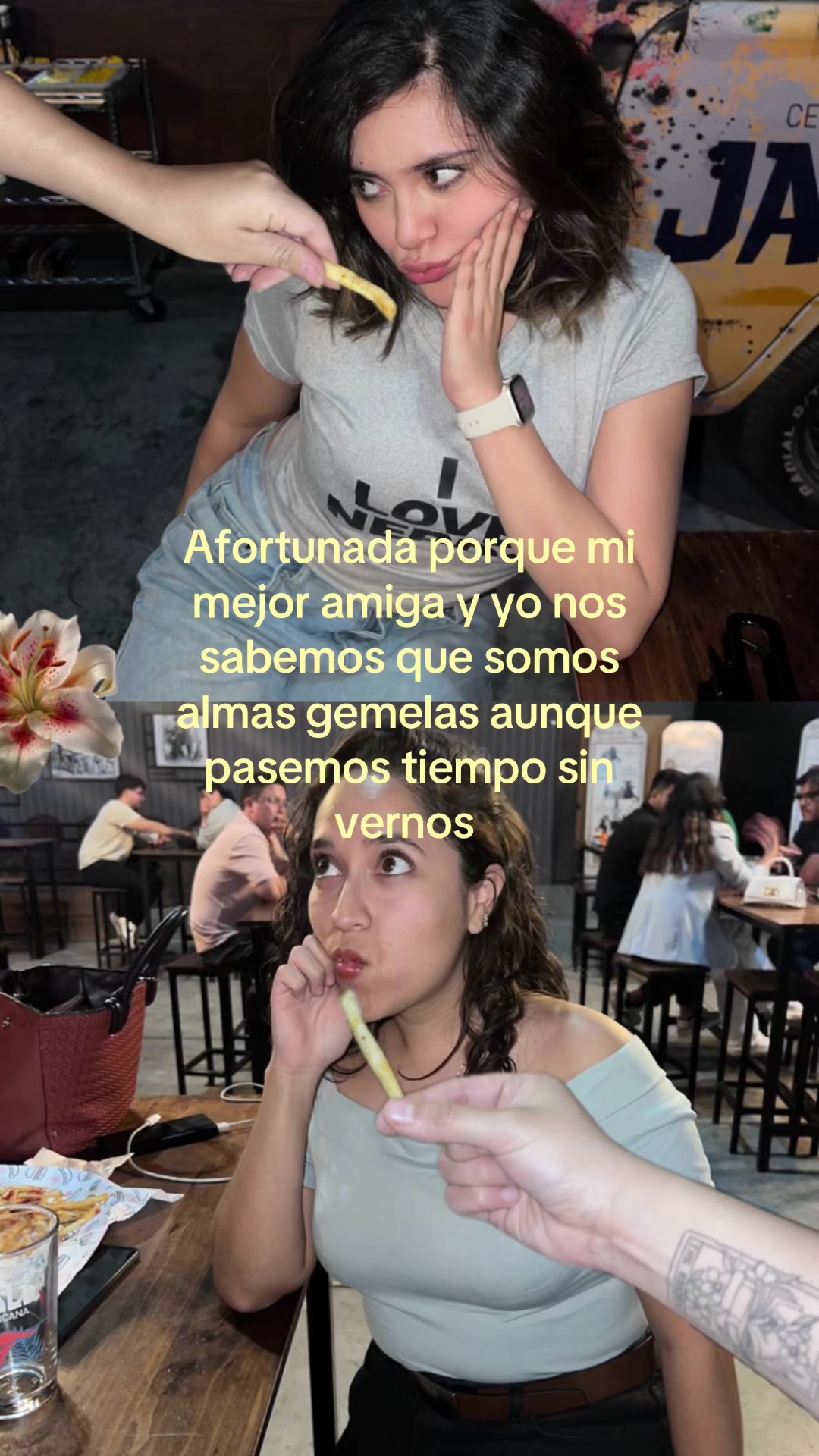 @ximevega