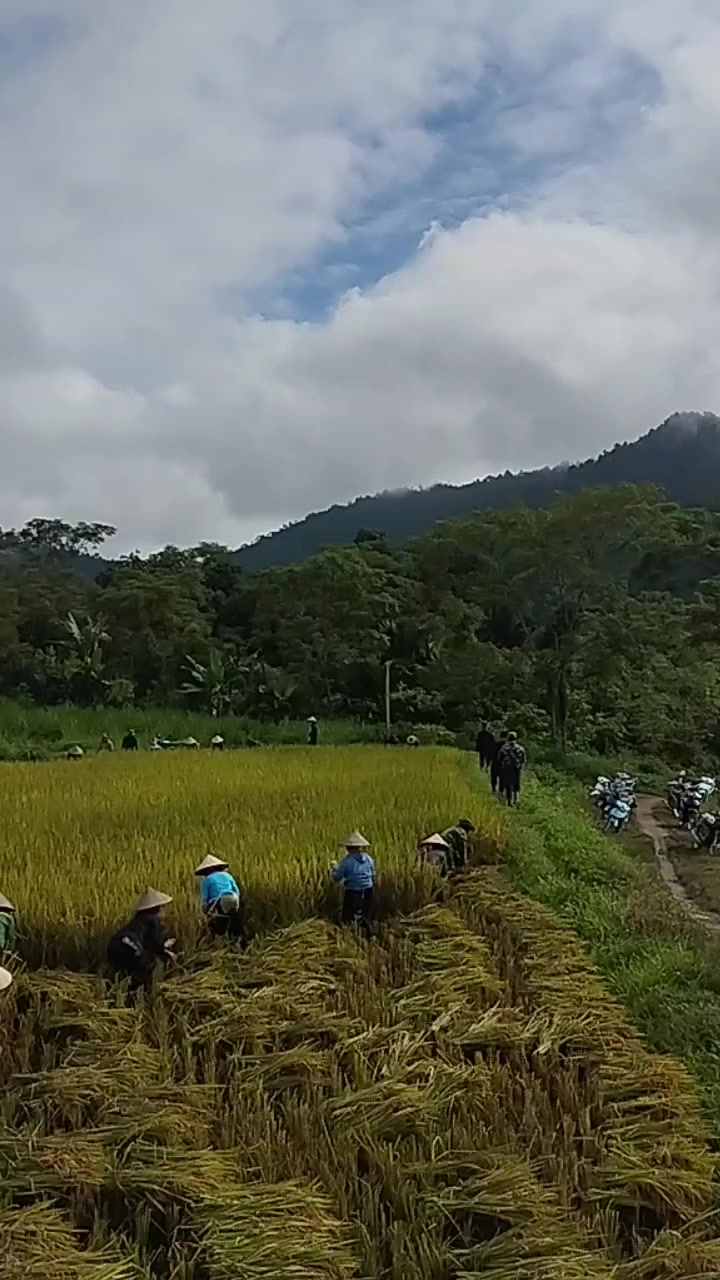 @XuânMai🫶