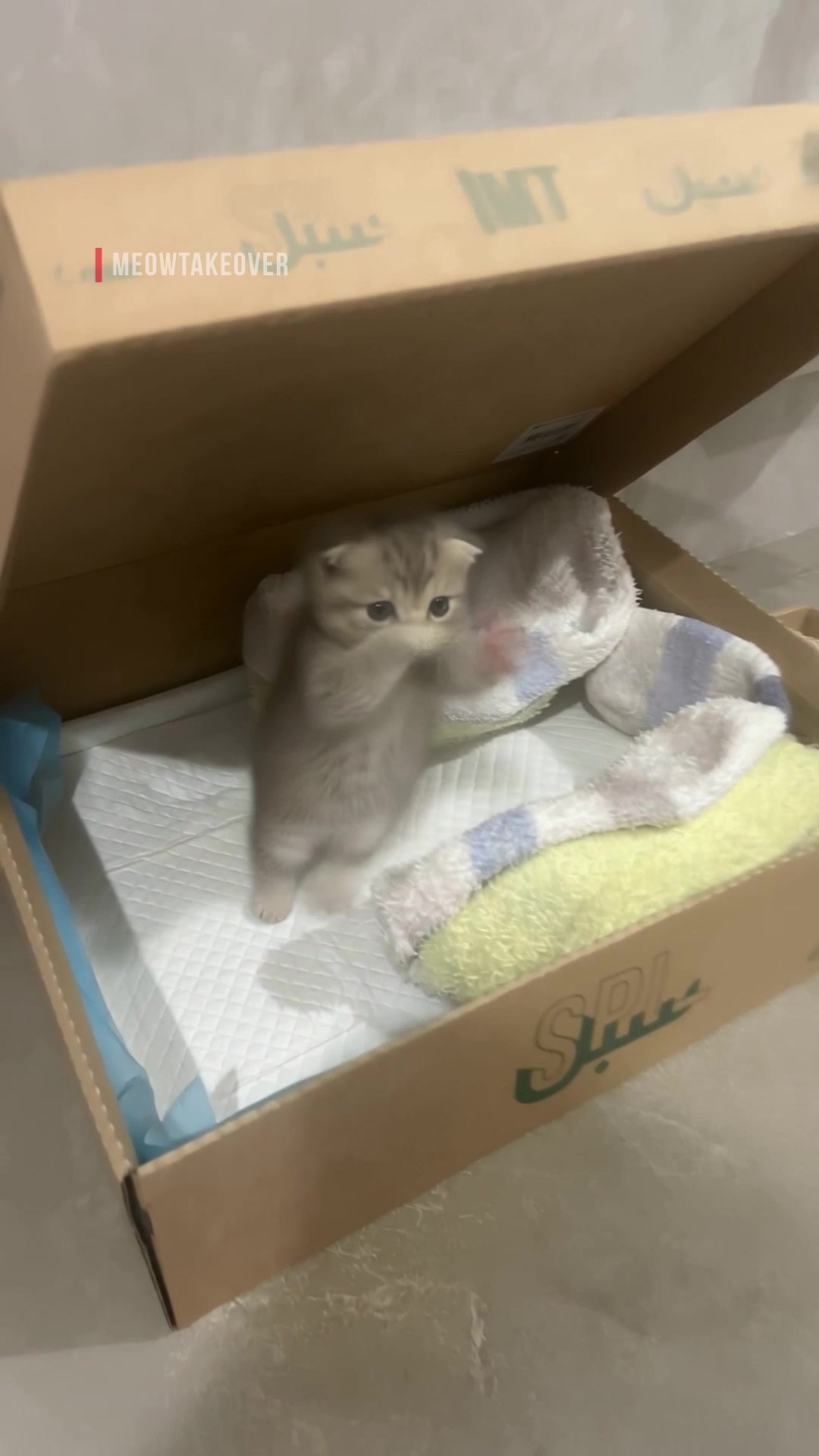 @meowtakeover
