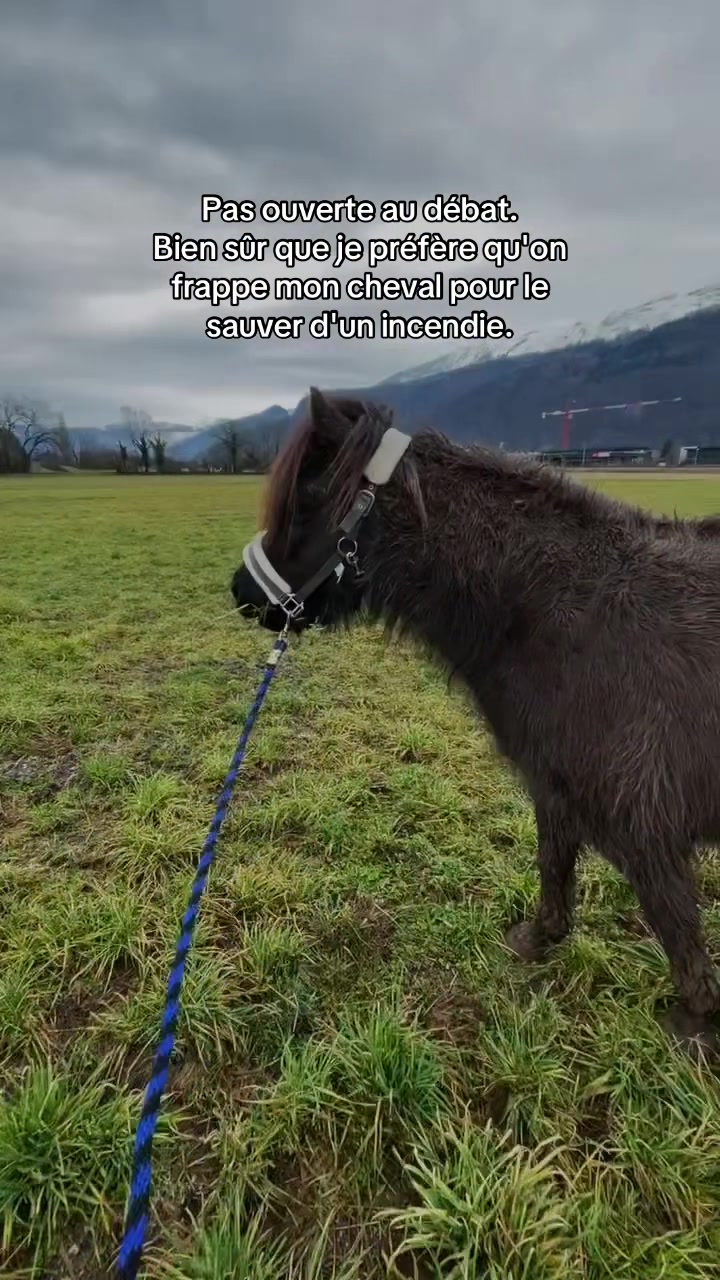 @shoot_equestres