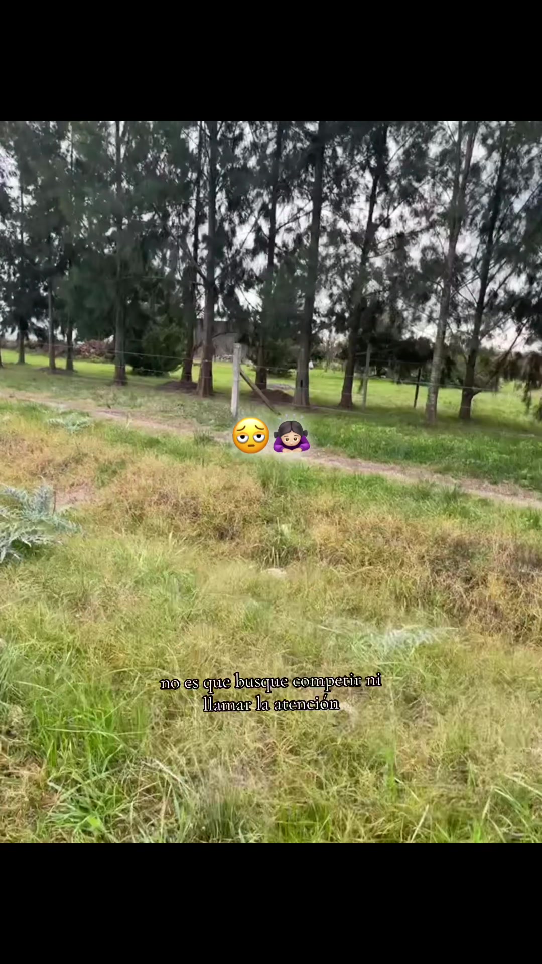 @lamiluucr