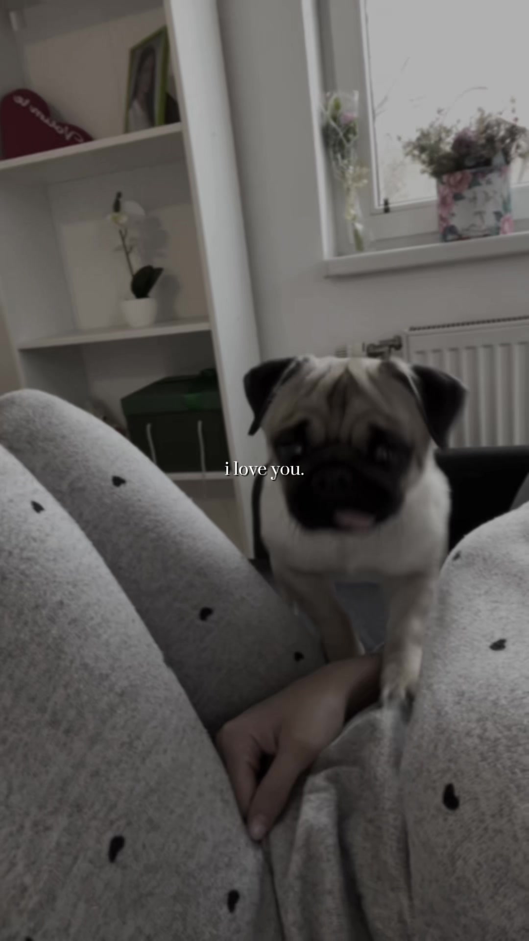 @Kekenj Melanija