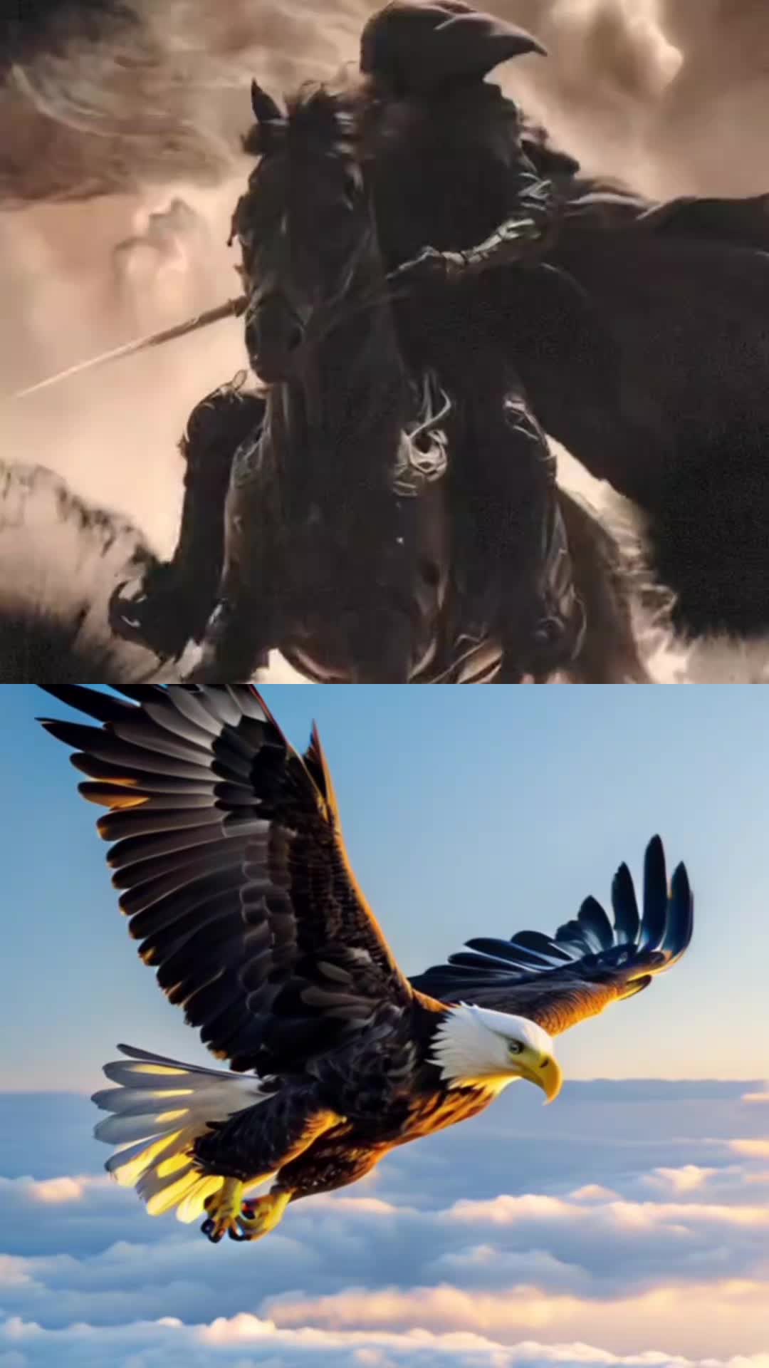 @ميرفان مارديني.