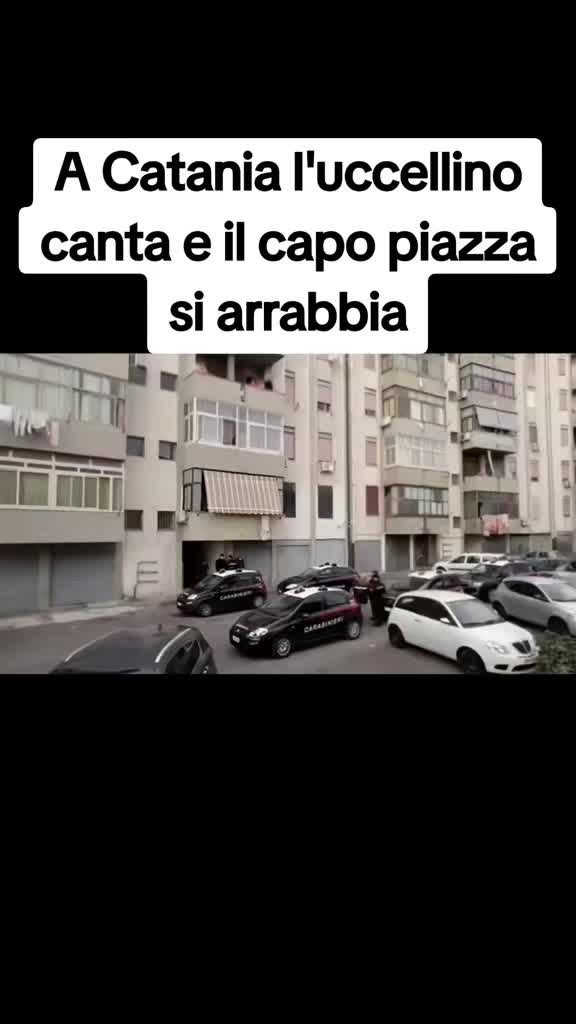 @squadra mobile