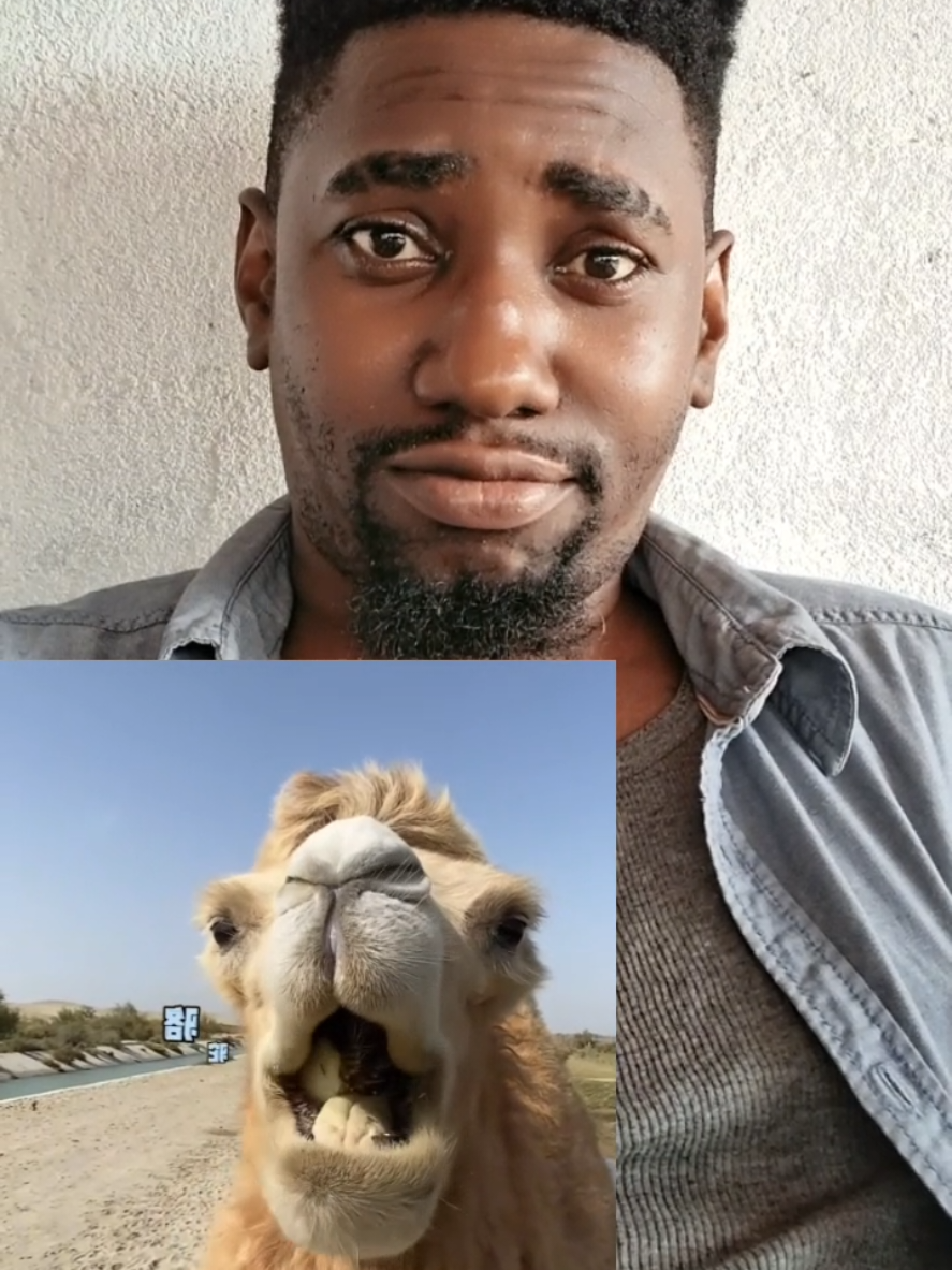 @Nash23