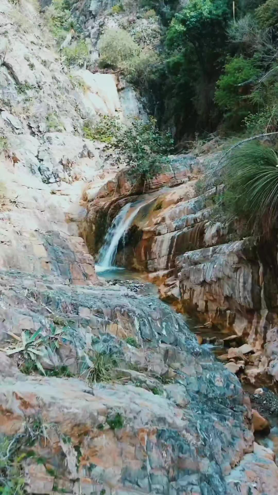 @BenjaLaDo