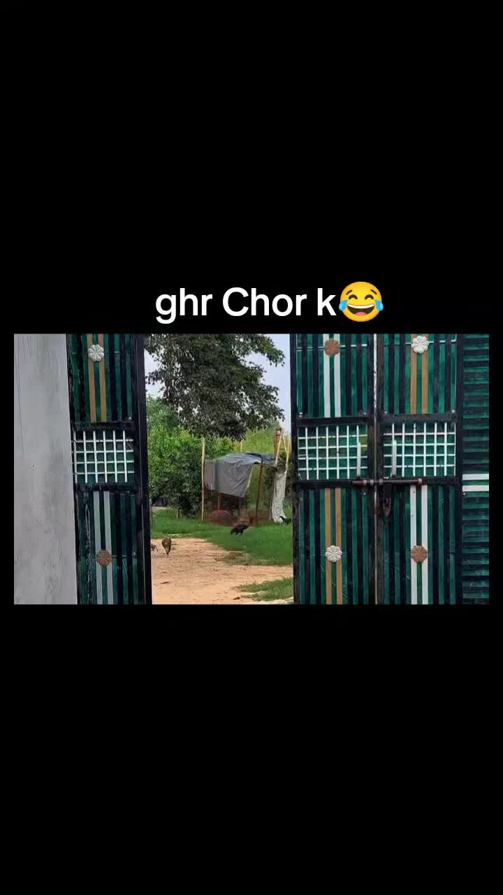 @𝑴𝑹. 𝑴𝑨𝒀𝑶 ✦