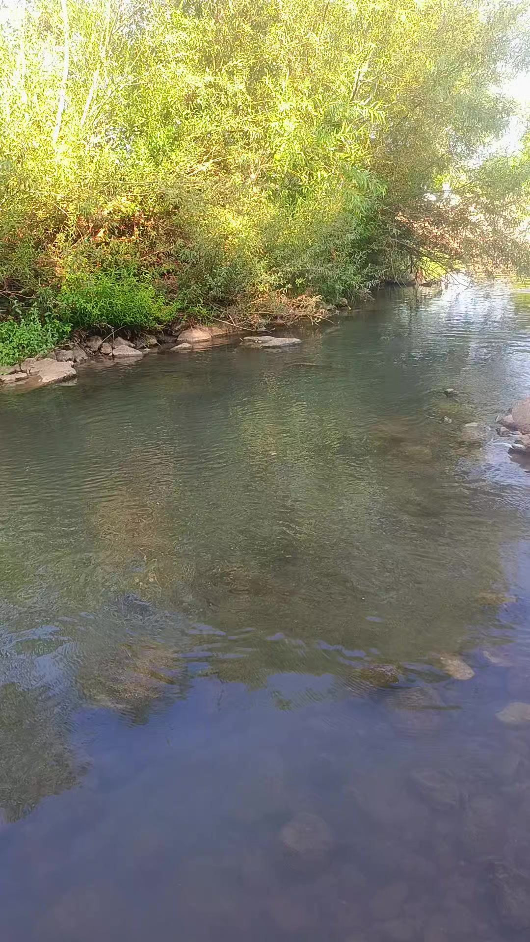 @Adem Göksu 💙