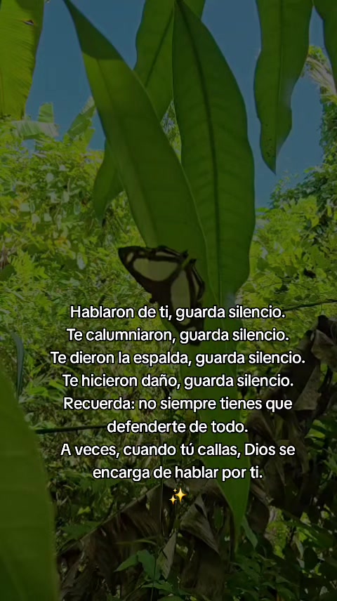 @Maravillosa.Divina