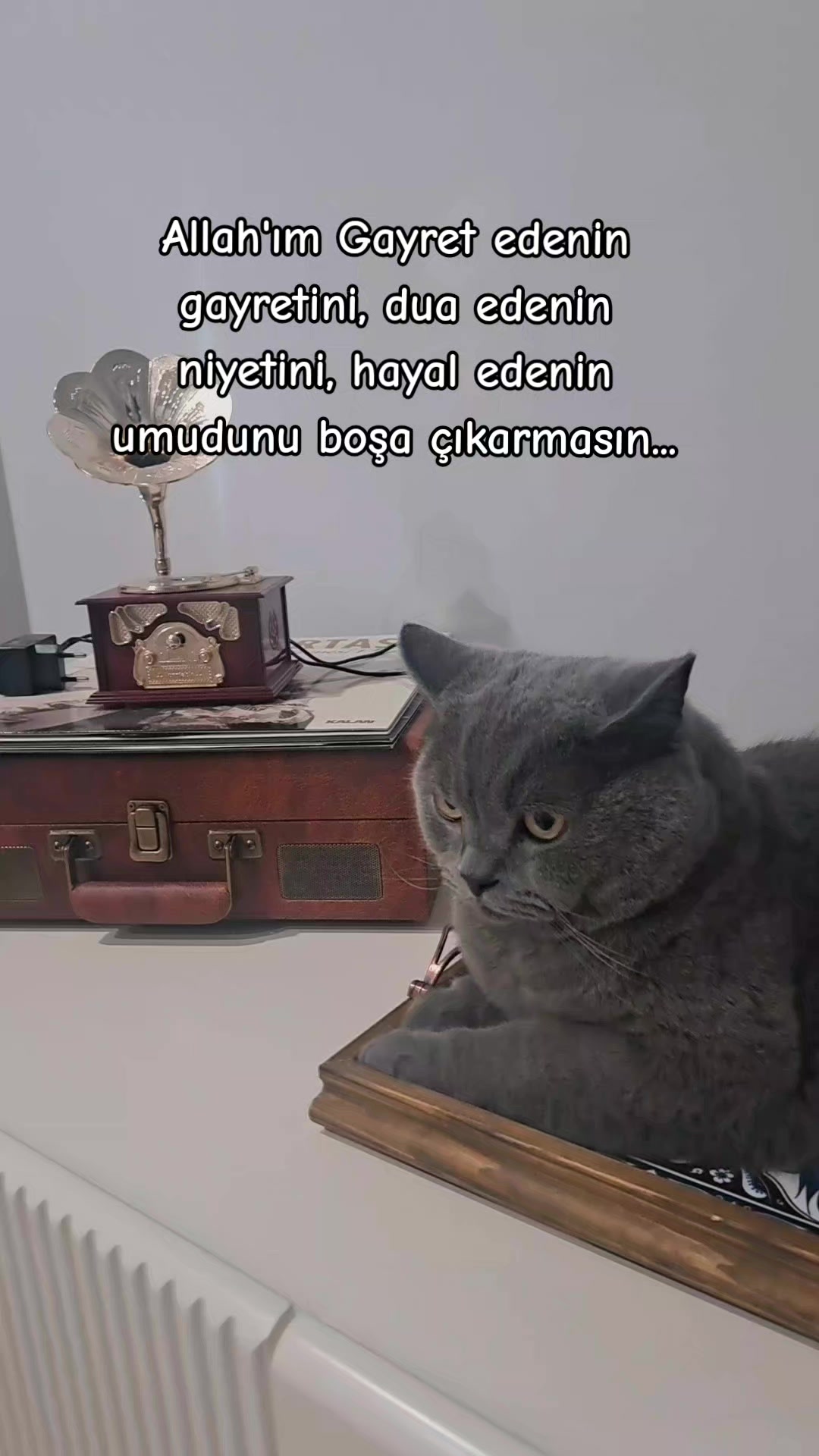 @35_ayse