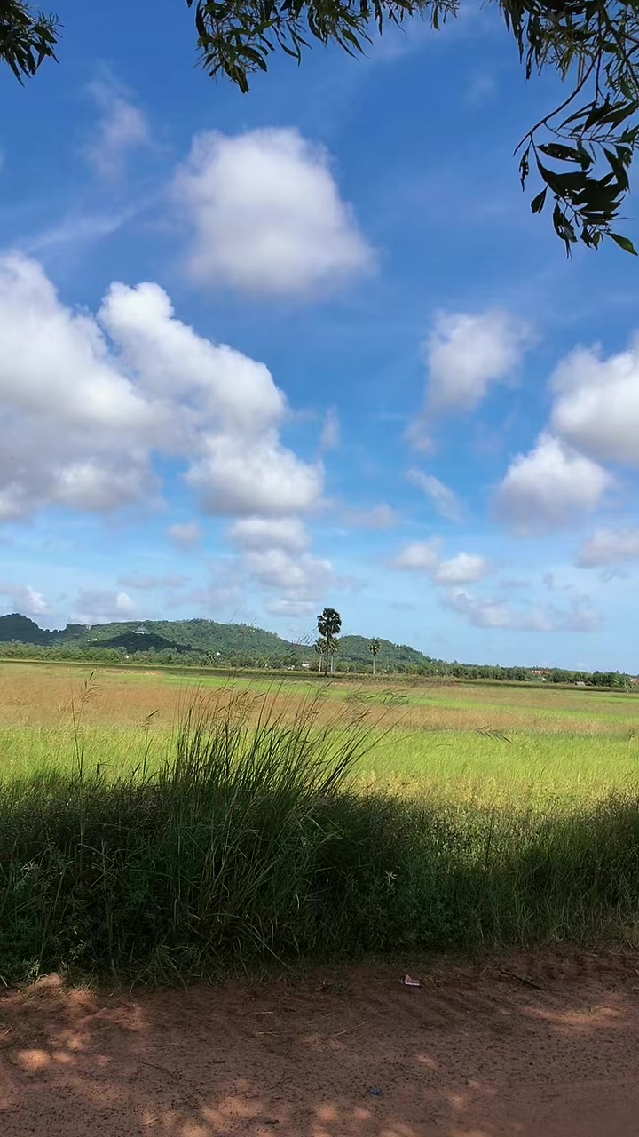 @cham.nan