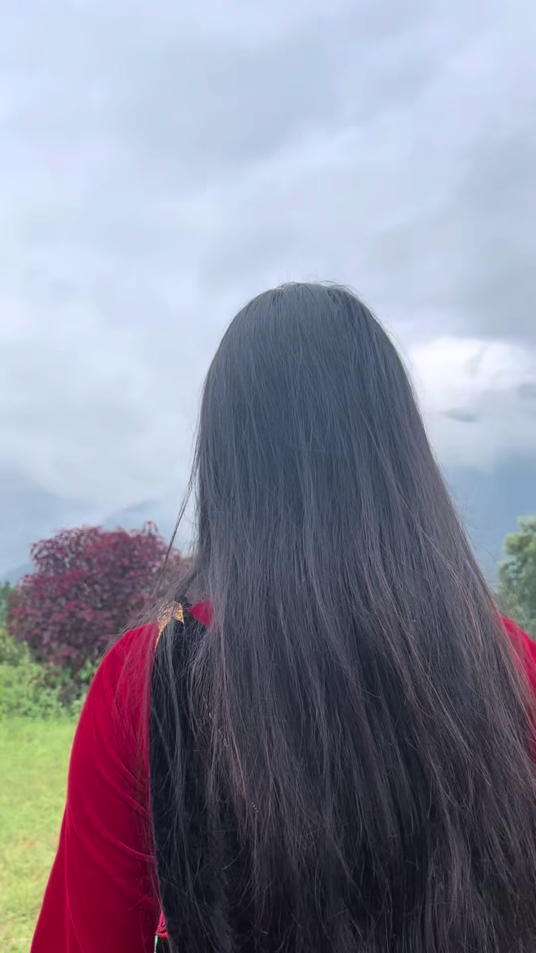 @Pᥫ᭡