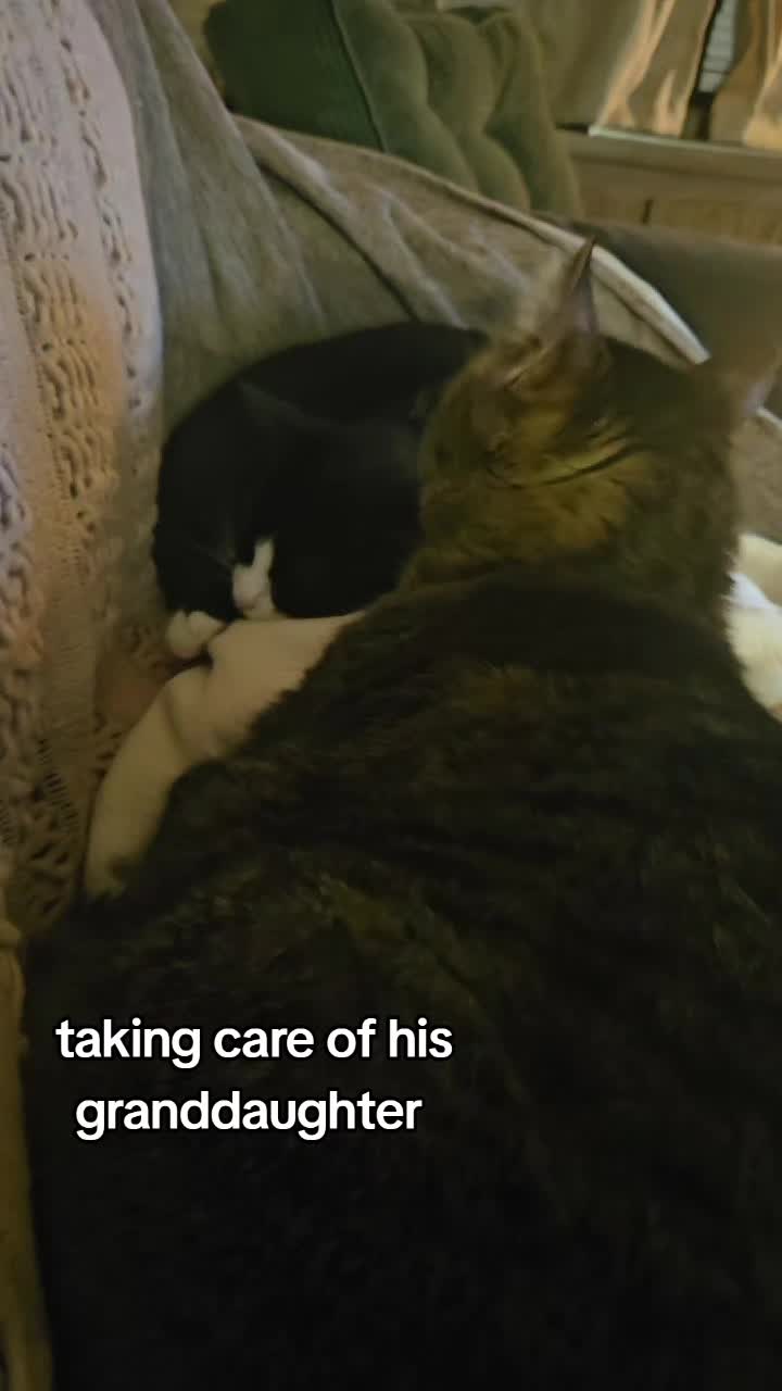 @Vader, Rocko, & Kona